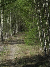 ���������, 8 ��� 2016