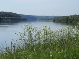 ���� ���, �����������, 19 ���� 2016