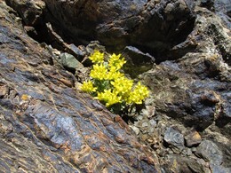 �����, �����������, 20 ���� 2016