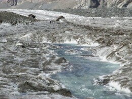 �� ������� ��������, �����, �����������, 25 ���� 2016