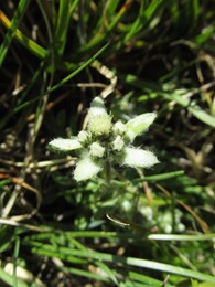 ���������, �����, �����������, 28 ���� 2016