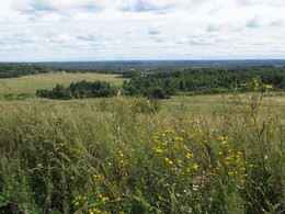 ������ ���� �����, �����������, 13 ������� 2016