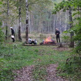 �����������, 17 �������� 2016