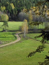 ���������, 1 ������� 2016