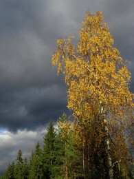 ���������, 1 ������� 2016