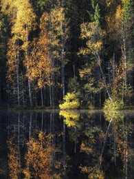 ���� Repovesi, ���������, 2 ������� 2016