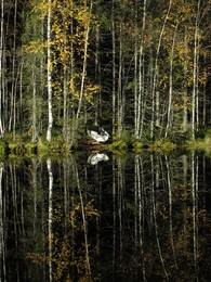 ���� Repovesi, ���������, 2 ������� 2016