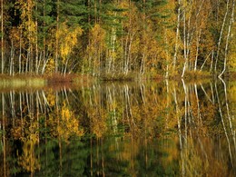 ���� Repovesi, ���������, 2 ������� 2016