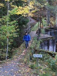 ���������, 8 ������� 2016