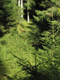 ���������, 8 ������� 2016