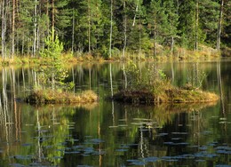 ���������, 8 ������� 2016