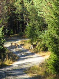 ���������, 8 ������� 2016