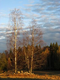 ���������, 8 ������� 2016