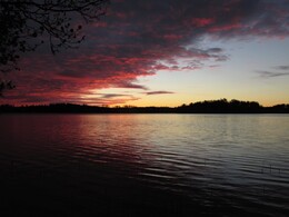 ���������, 8 ������� 2016