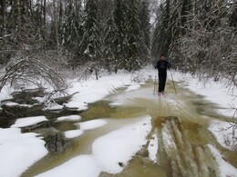 �����������, 19 ������ 2016