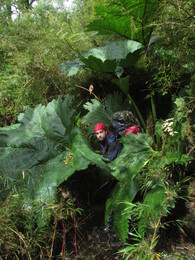 ��������� ������. ����, 7 ������ 2017