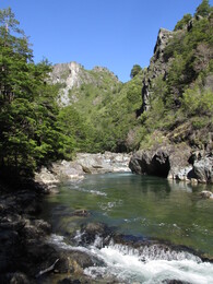 ���� Tigre. ����, 15 ������ 2017