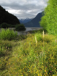 ����� Yelcho. ����, 18 ������ 2017