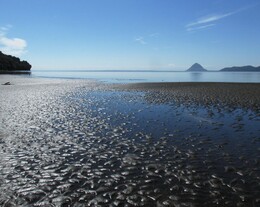 ����� ������ ������ � ����� ���� Yelcho. ����, 21 ������ 2017