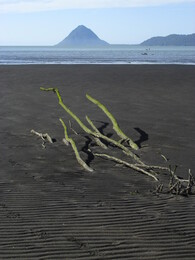 ����� ������ ������ � ����� ���� Yelcho. ����, 21 ������ 2017