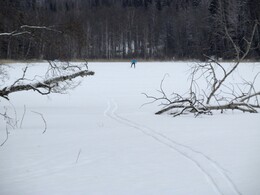 Nuuksio, 11 ������� 2017