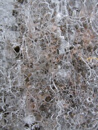 ��� �� �����. Nuuksio, 11 ������� 2017