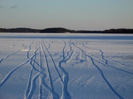 ���������, 5 ����� 2017