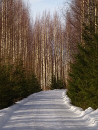 ���������, 12 ����� 2017