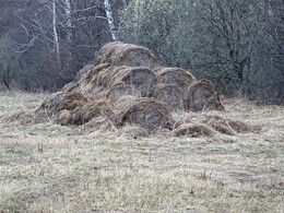 ����� �� �������� � ��������, 8 ������ 2017