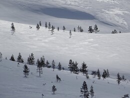 ����� � ��������� (Saariselk&auml; - Vuotso), 15 ������ 2017