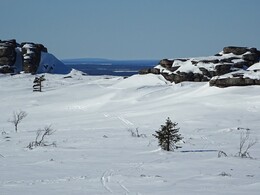 ����� � ��������� (Saariselk&auml; - Vuotso), 17 ������ 2017