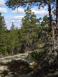 ����� �� Karjaa � �������� Raseborg, ���������, 7 ��� 2017