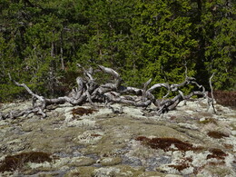 ����� �� Karjaa � �������� Raseborg, ���������, 7 ��� 2017