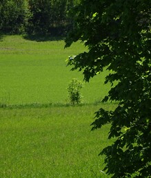 ���������, 6 ���� 2017