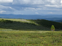 ���������� ���������, �����, 25 ���� 2017