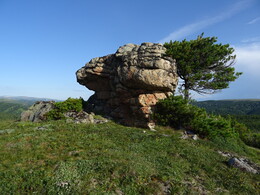 ���������� ���������, �����, 25 ���� 2017