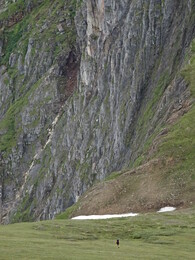 ������� ���������, �����, 26 ���� 2017