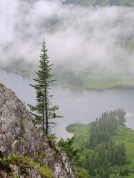 ��������� �����, �����, 27 ���� 2017