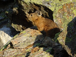 ������, �����, 3 ������� 2017