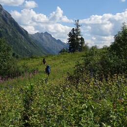 ������ ���� ������� �����, �����, 4 ������� 2017