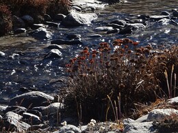 �������� �����, 4 ������� 2017