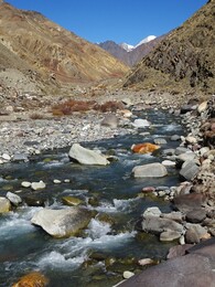 �������� �����, 10 ������� 2017