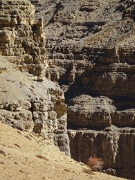 �������� �����, 11 ������� 2017