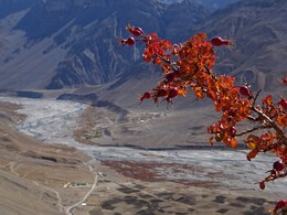 ������ ���� �����, �������� �����, 11 ������� 2017