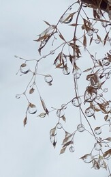 ���������, 29 ������� 2017