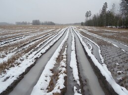 ���������, 29 ������� 2017