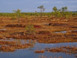 ���������, 25 ������ 2017