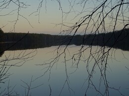 ���������, 25 ������ 2017