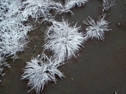 ���������, 26 ������ 2017