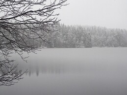 ���������, 26 ������ 2017